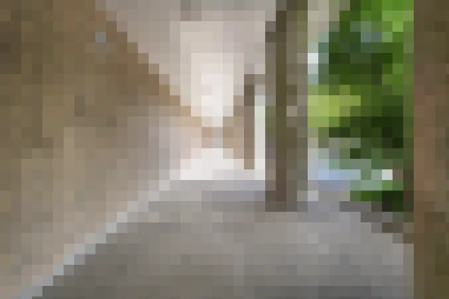Sweelinckplein 130 's-Hertogenbosch thumbnail 33