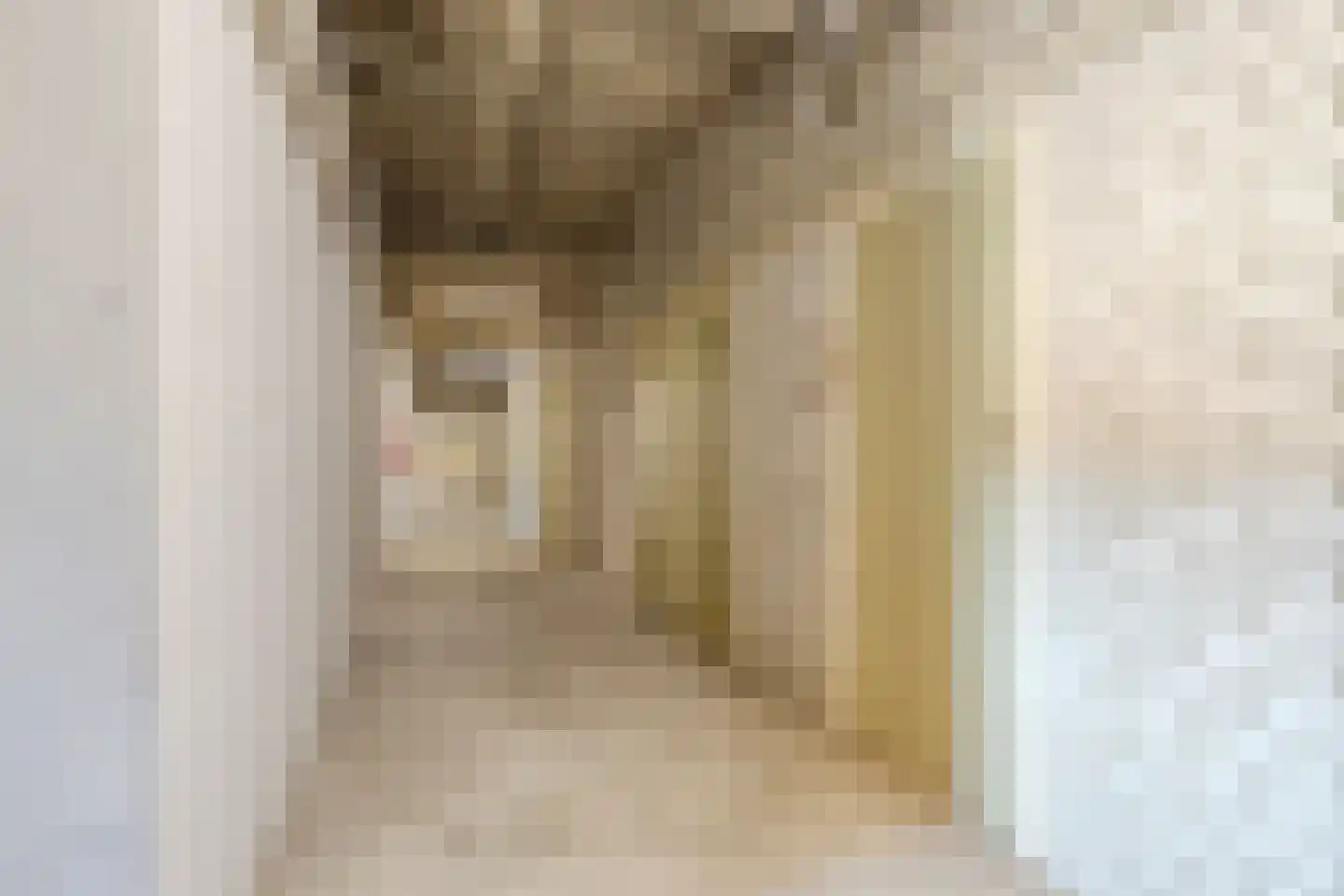 Sweelinckplein 130 's-Hertogenbosch thumbnail 35