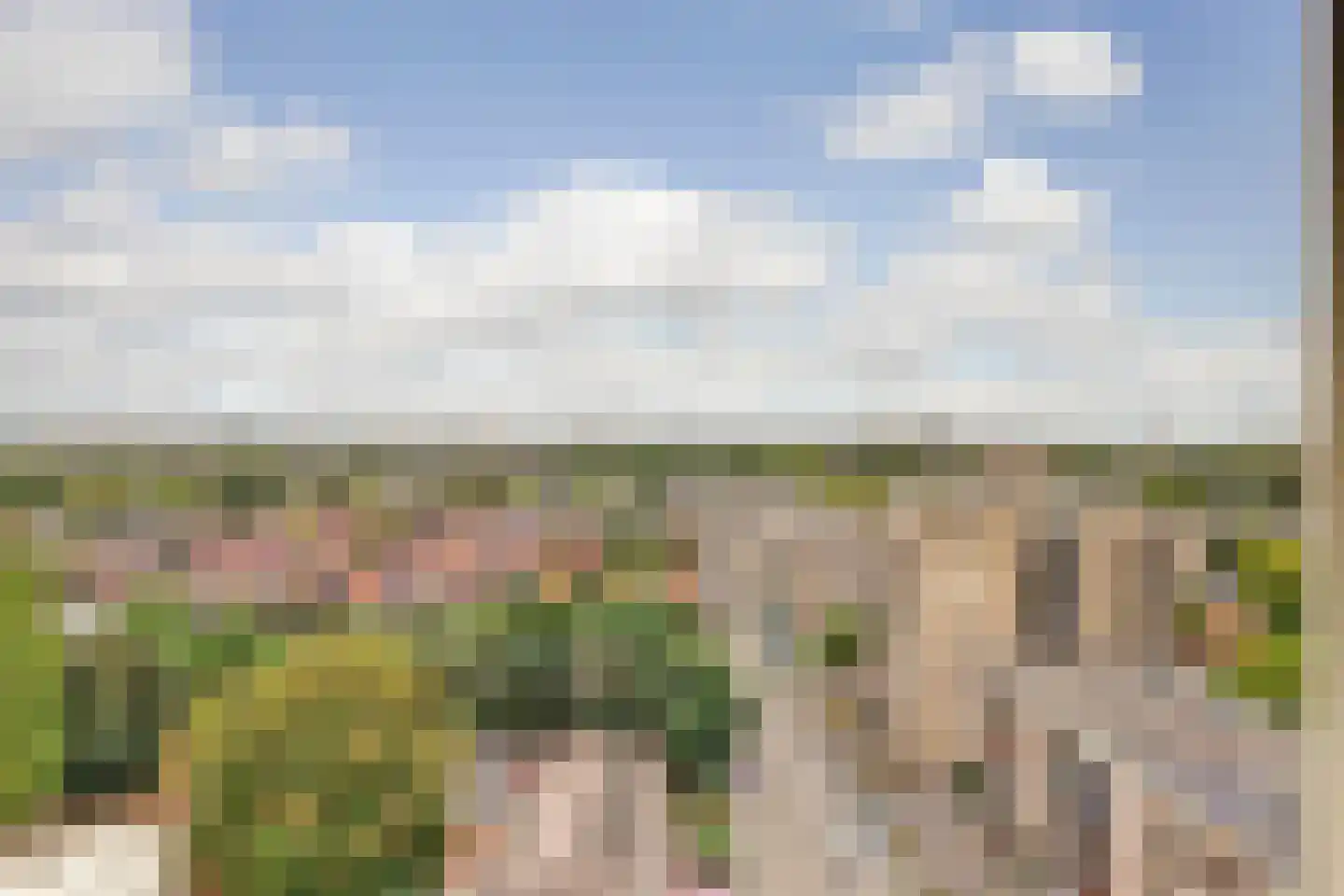 Sweelinckplein 136 's-Hertogenbosch thumbnail 23