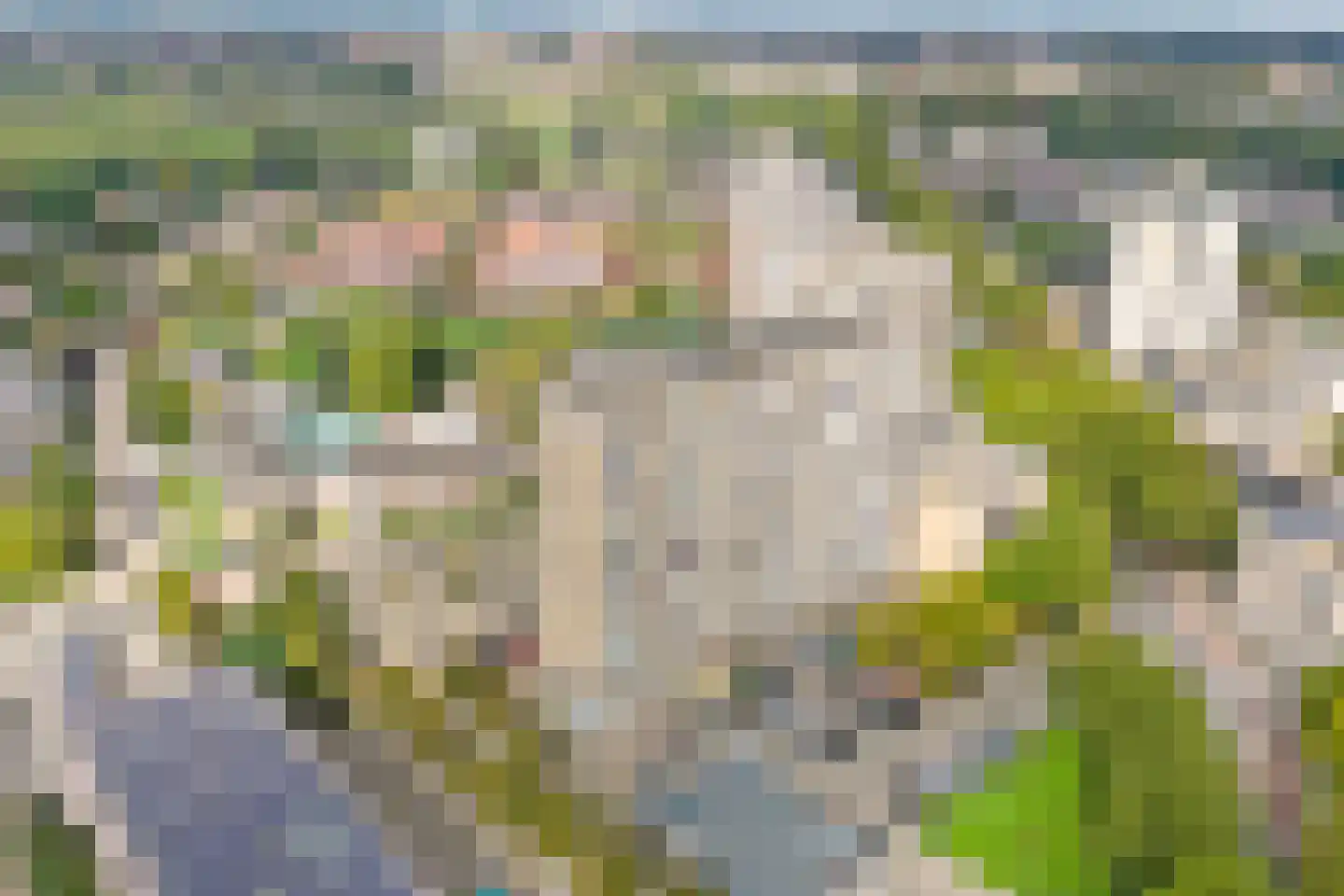Sweelinckplein 136 's-Hertogenbosch thumbnail 31