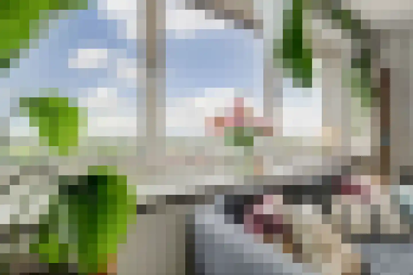 Sweelinckplein 136 's-Hertogenbosch thumbnail 5