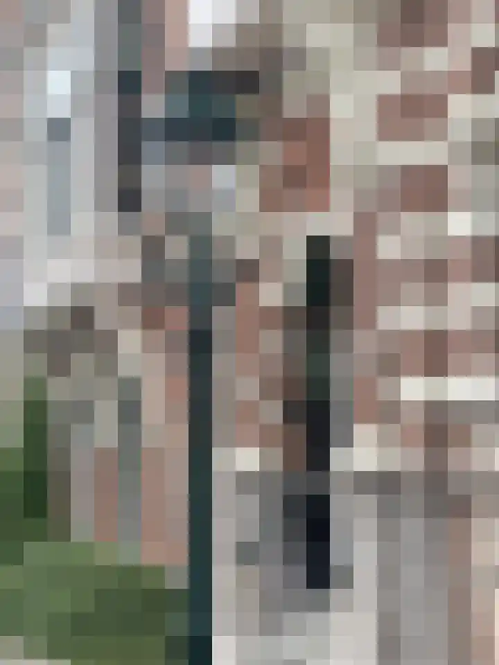 Sweelinckplein 15 Den Haag thumbnail 28