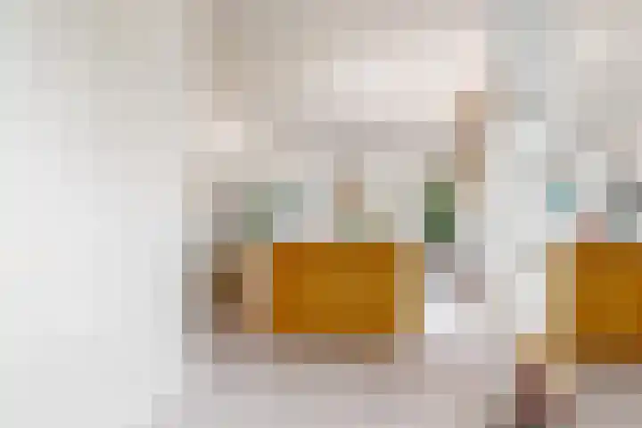 Sweelinckplein 15 Den Haag thumbnail 9