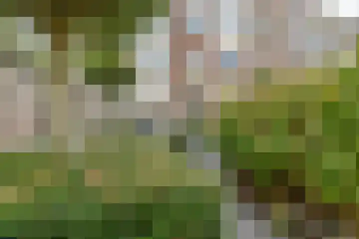 Sweelinckplein 22 Den Haag thumbnail 14