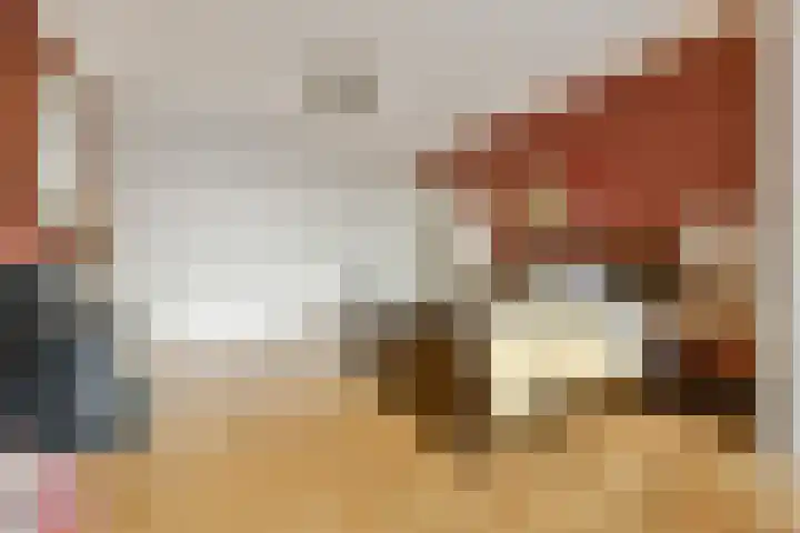 Sweelinckplein 22 Den Haag thumbnail 20