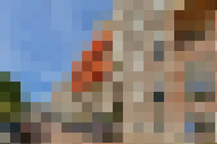Sweelinckplein 22 Den Haag thumbnail 33