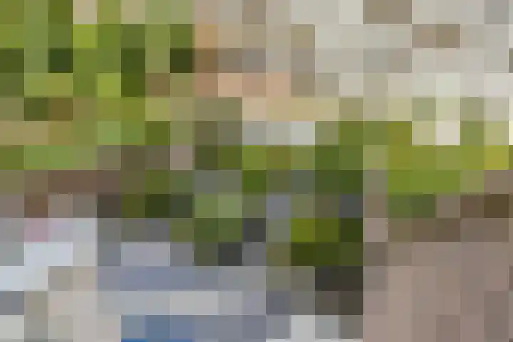 Sweelinckplein 22 Den Haag thumbnail 4