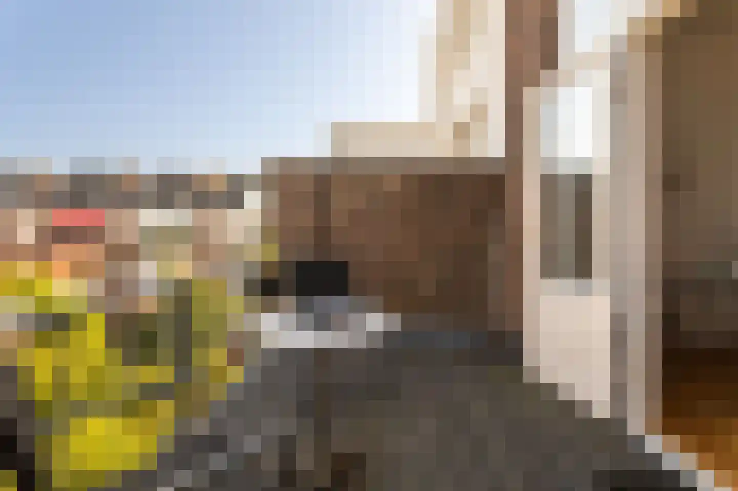 Sweelinckplein 23 A Den Haag thumbnail 19