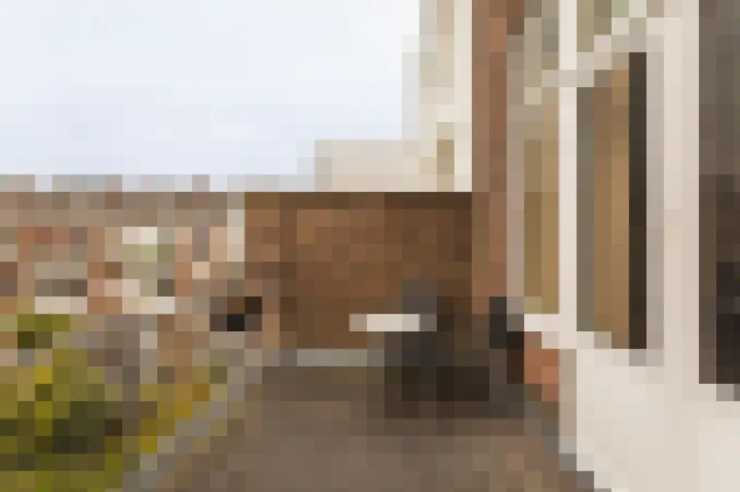 Sweelinckplein 23 A Den Haag thumbnail 19