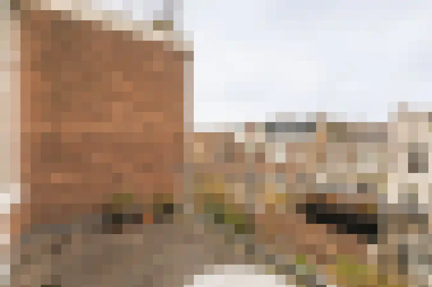 Sweelinckplein 23 A Den Haag thumbnail 20