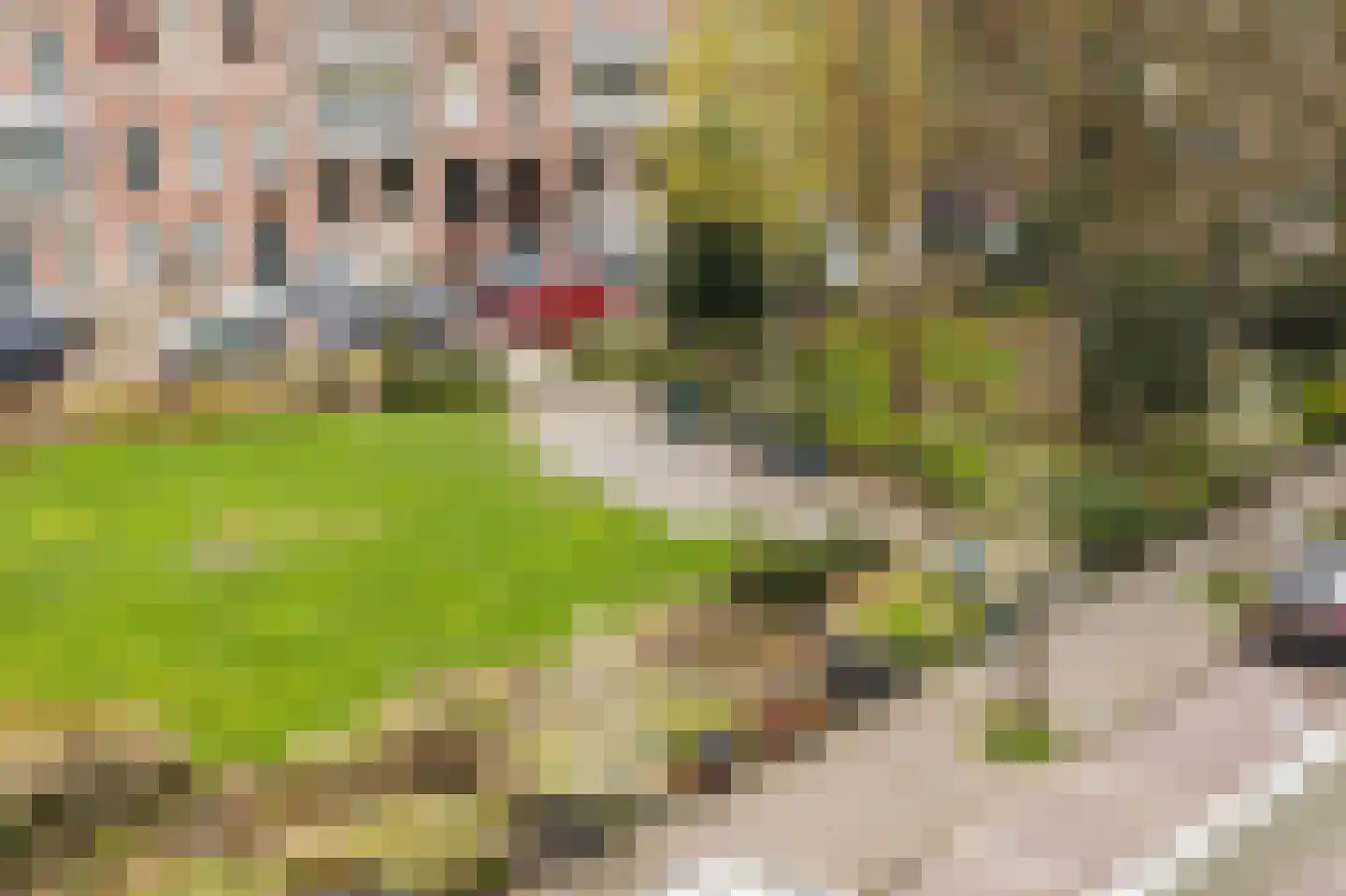 Sweelinckplein 23 A Den Haag thumbnail 40