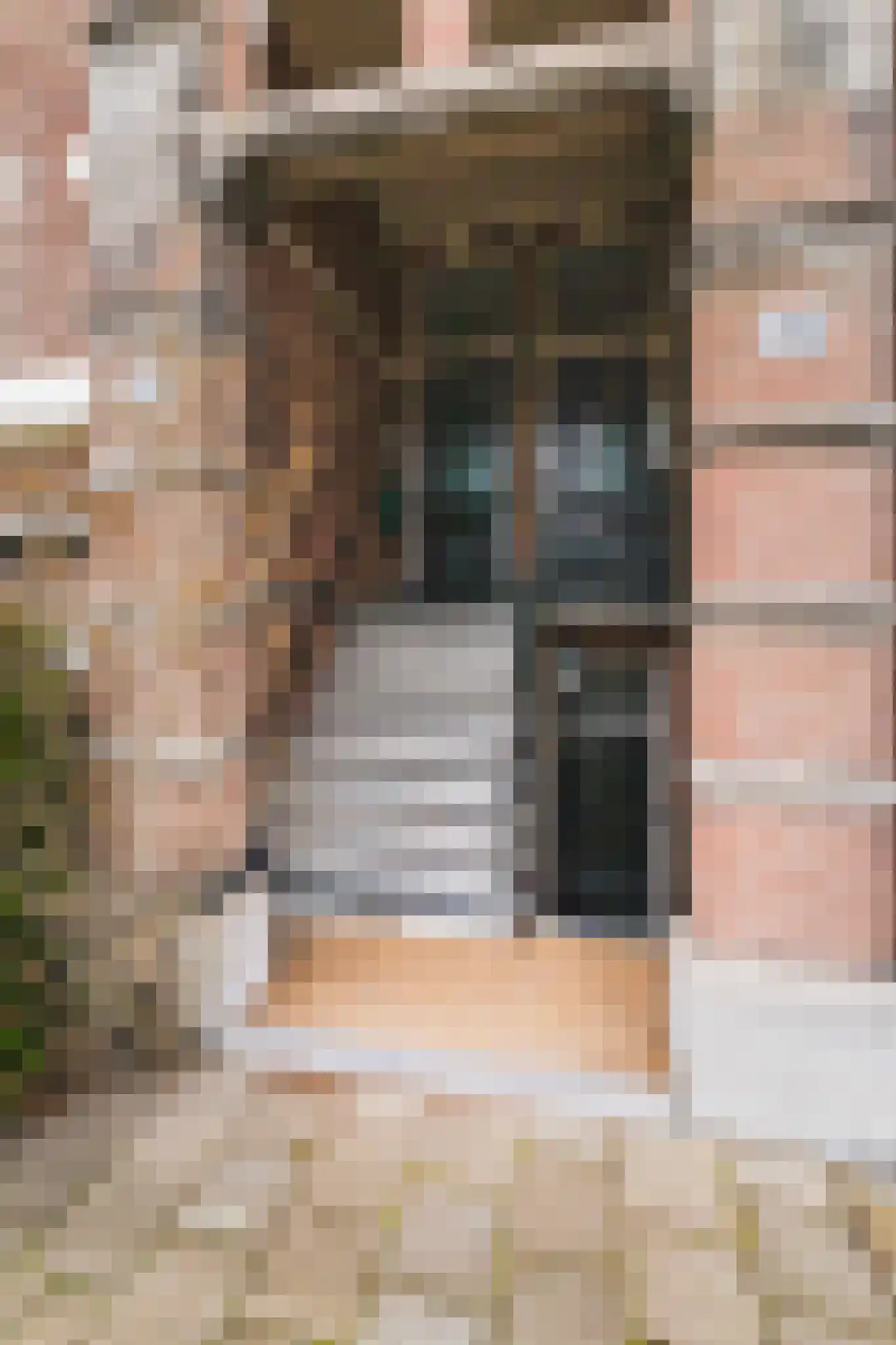 Sweelinckplein 23 A Den Haag thumbnail 5