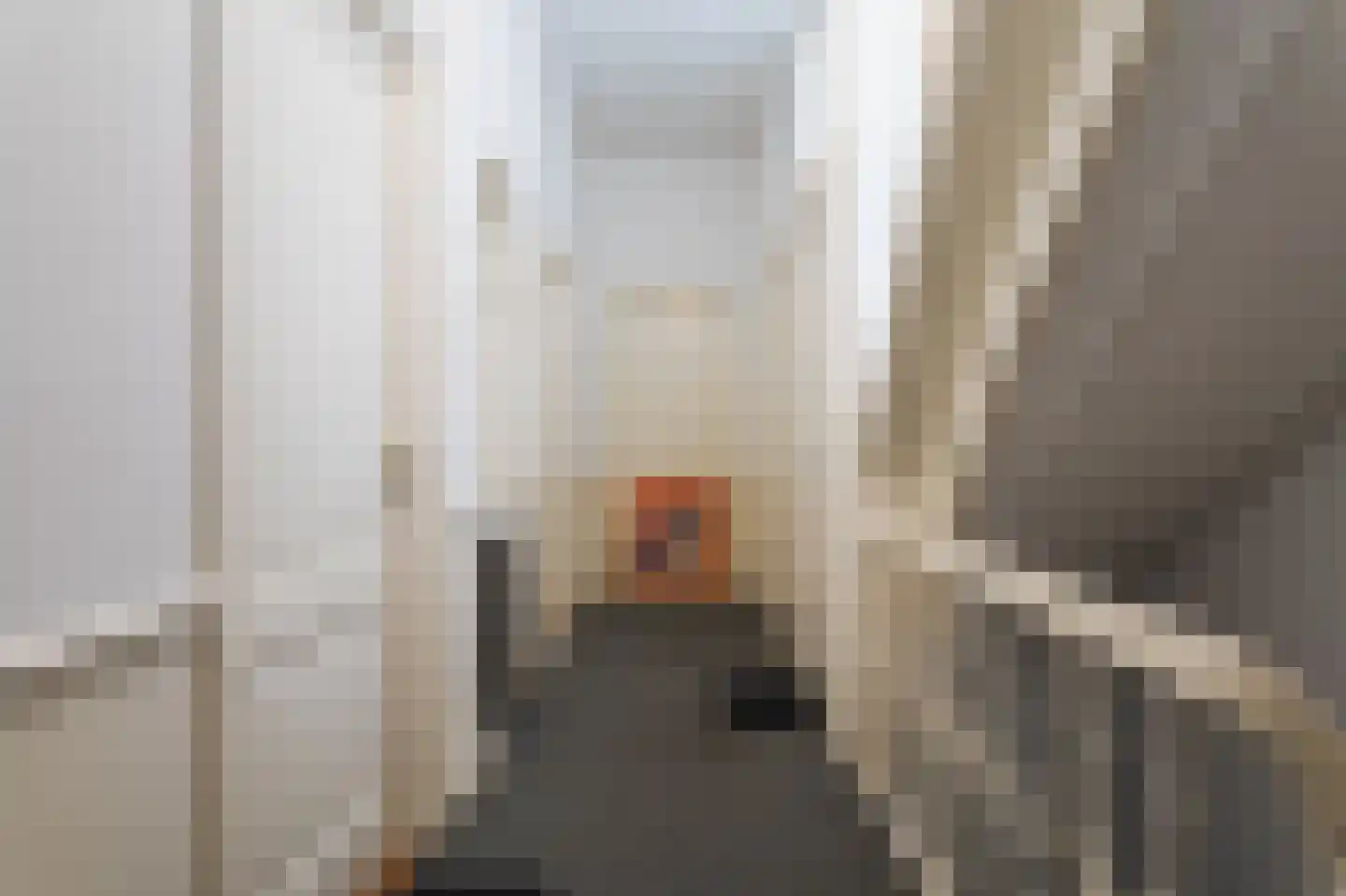 Sweelinckplein 23 A Den Haag thumbnail 8