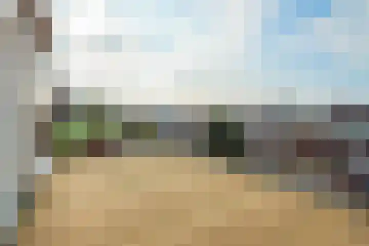 Sweelinckplein 33 H Den Haag thumbnail 13