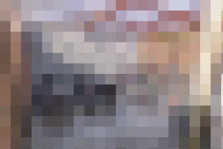 Sweelinckplein 33 H Den Haag thumbnail 34