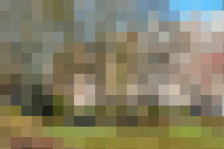 Sweelinckplein 33 H Den Haag thumbnail 41