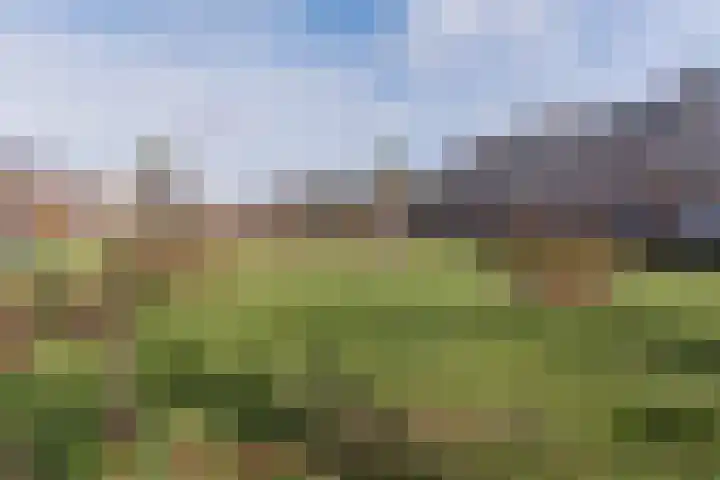 Sweelinckplein 33 H Den Haag thumbnail 42