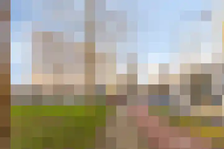 Sweelinckplein 40 's-Hertogenbosch thumbnail 23