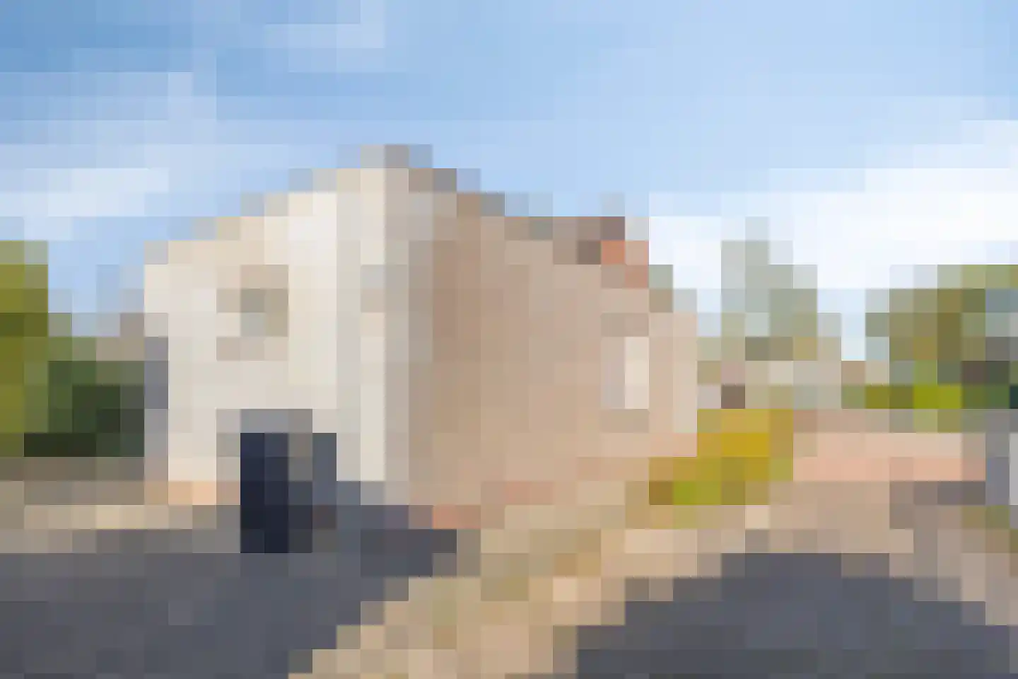 Sweelinckplein 41 Assen thumbnail 43