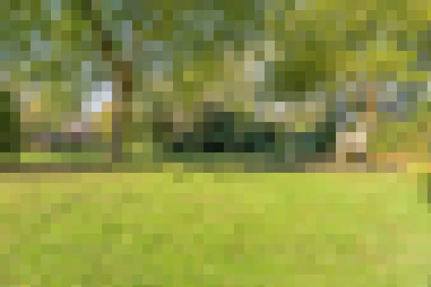 Sweelinckplein 41 Assen thumbnail 45
