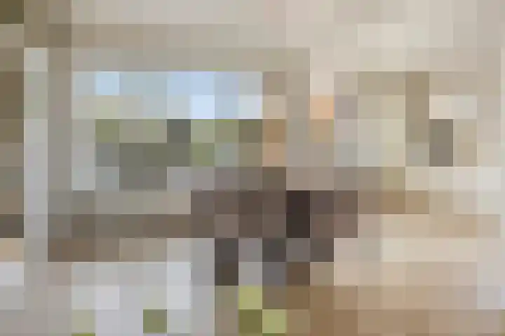 Sweelinckplein 43 Assen thumbnail 12