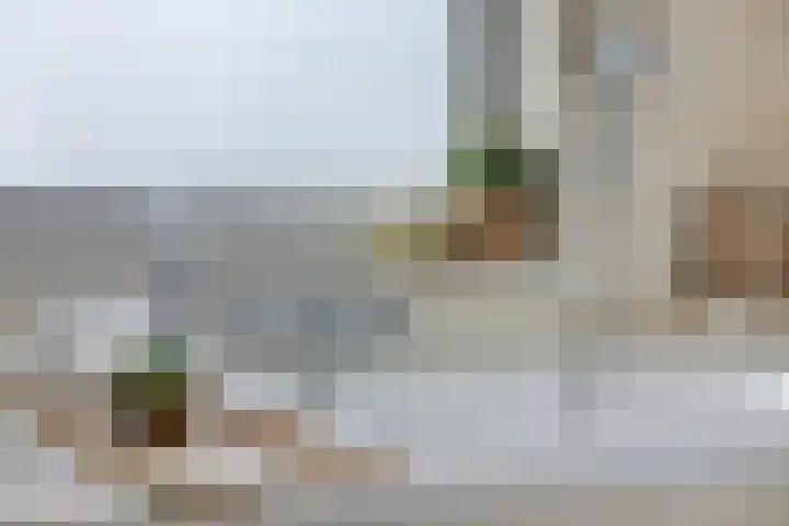 Sweelinckplein 43 Assen thumbnail 21