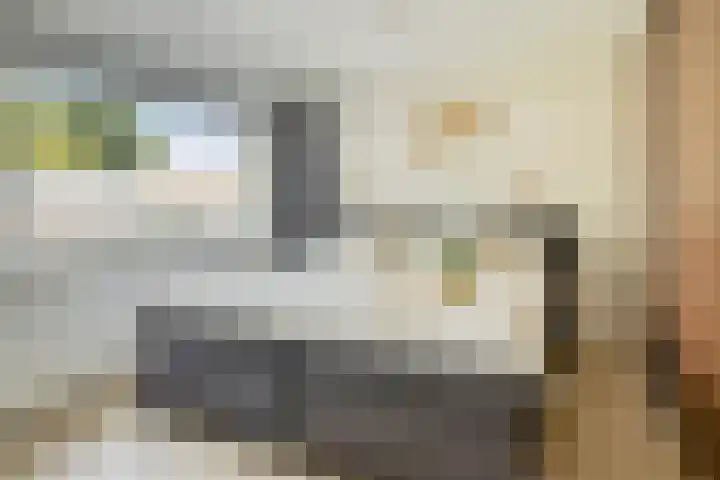 Sweelinckplein 43 Assen thumbnail 23