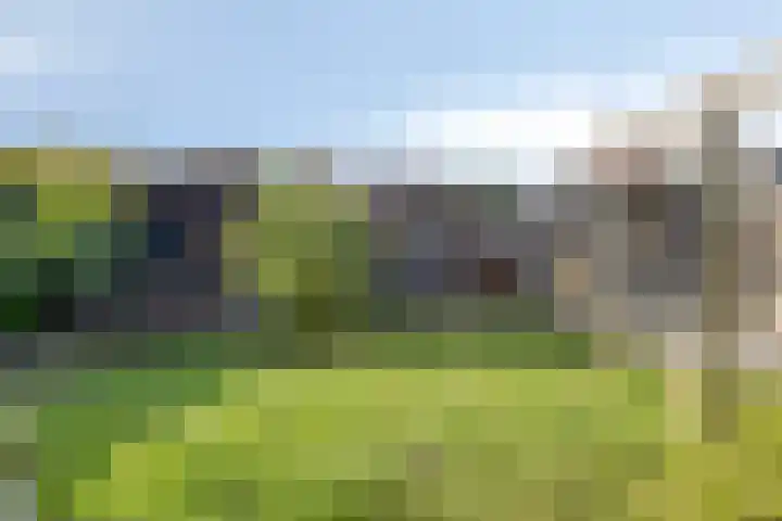 Sweelinckplein 43 Assen thumbnail 27