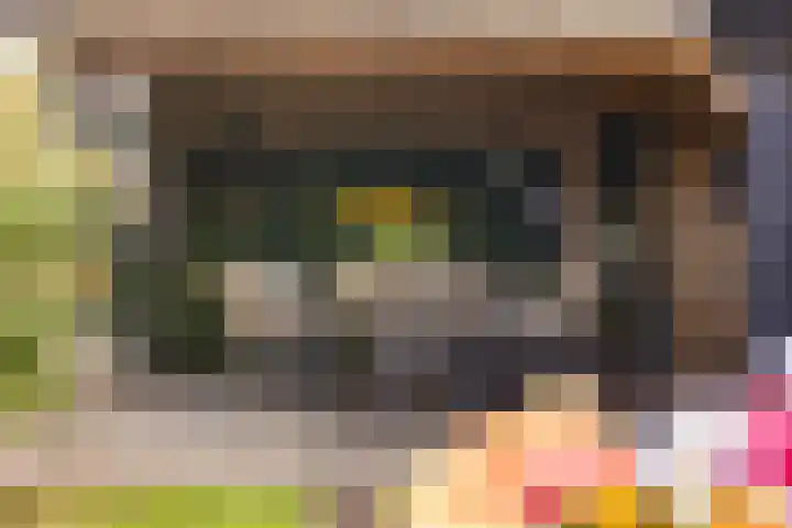 Sweelinckplein 43 Assen thumbnail 28