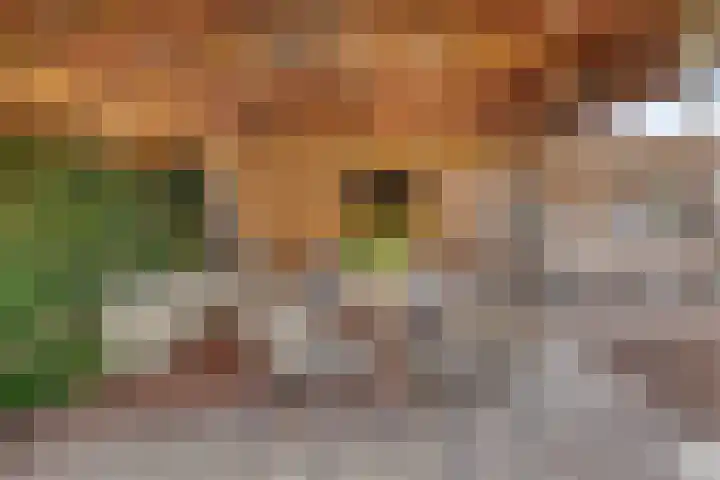 Sweelinckplein 43 Assen thumbnail 29