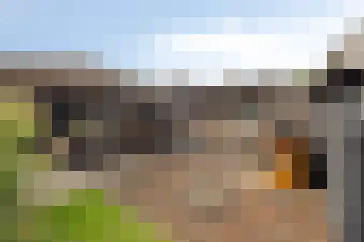 Sweelinckplein 43 Assen thumbnail 30