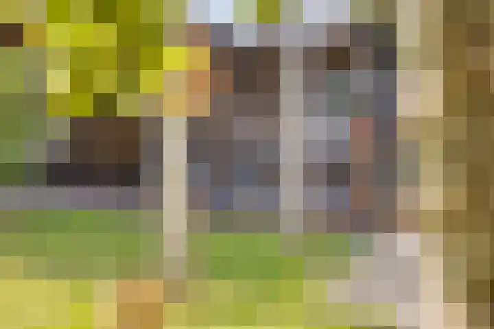 Sweelinckplein 43 Assen thumbnail 31