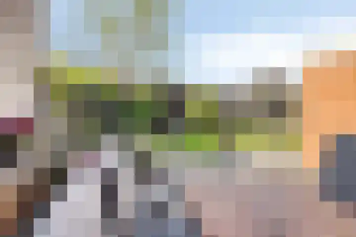 Sweelinckplein 43 Assen thumbnail 32