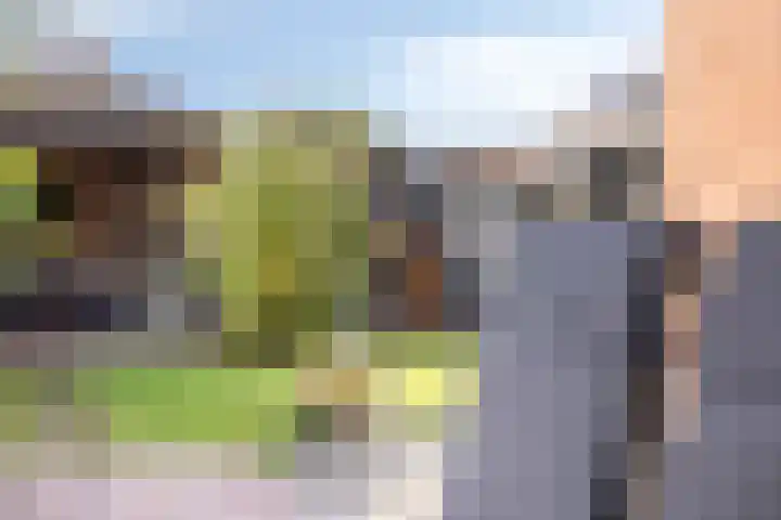 Sweelinckplein 43 Assen thumbnail 33