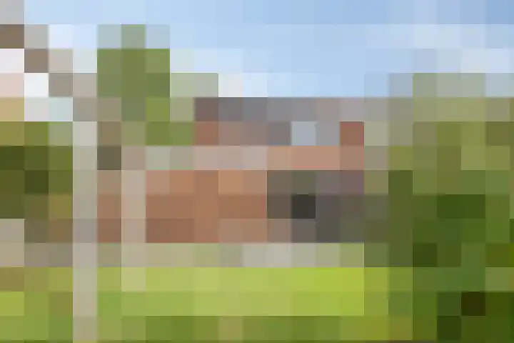 Sweelinckplein 43 Assen thumbnail 35