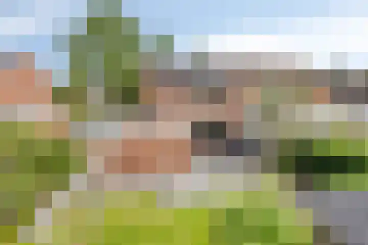 Sweelinckplein 43 Assen thumbnail 36
