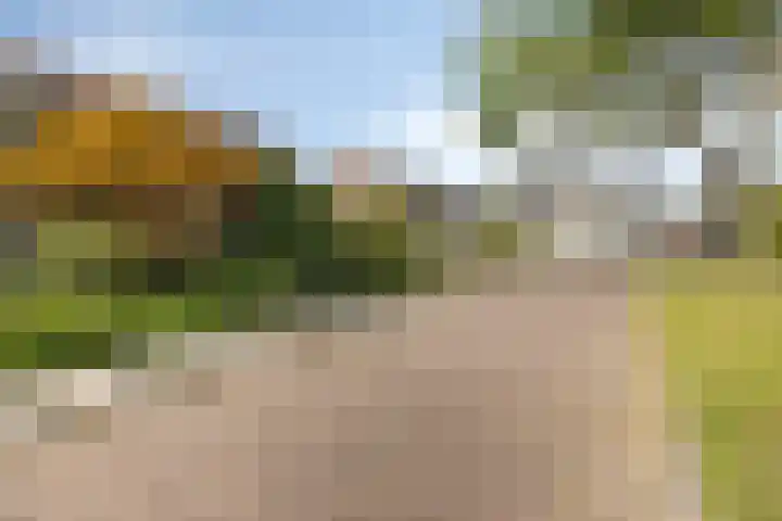 Sweelinckplein 43 Assen thumbnail 39