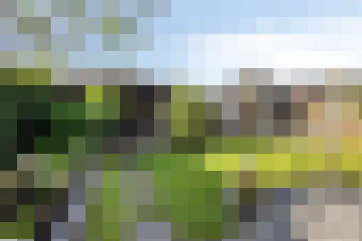Sweelinckplein 43 Assen thumbnail 4
