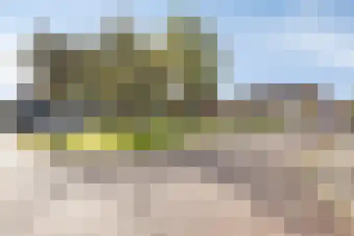 Sweelinckplein 43 Assen thumbnail 41