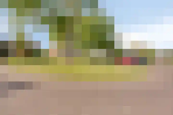 Sweelinckplein 43 Assen thumbnail 42