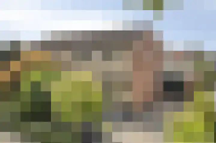 Sweelinckplein 43 Assen thumbnail 48