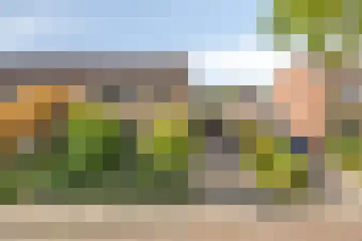 Sweelinckplein 43 Assen thumbnail 5