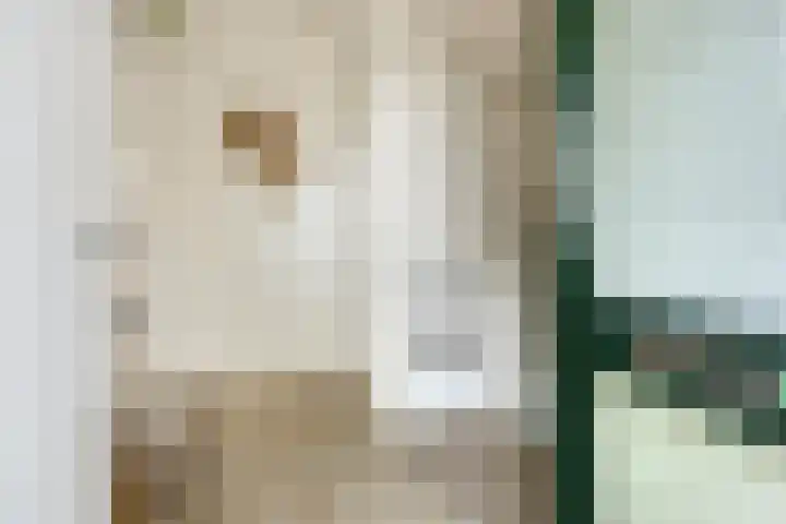 Sweelinckplein 43 Assen thumbnail 7