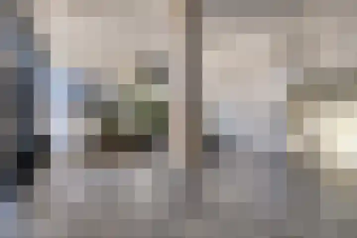 Sweelinckplein 52 's-Hertogenbosch thumbnail 13