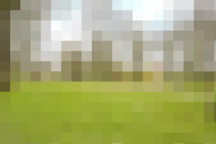 Sweelinckplein 52 's-Hertogenbosch thumbnail 16