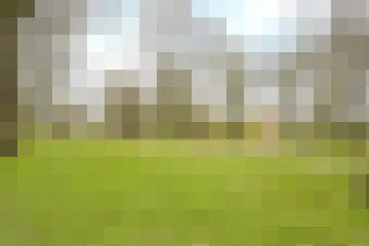 Sweelinckplein 52 's-Hertogenbosch thumbnail 17