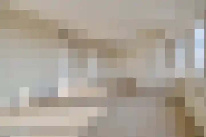 Sweelinckplein 52 's-Hertogenbosch thumbnail 8