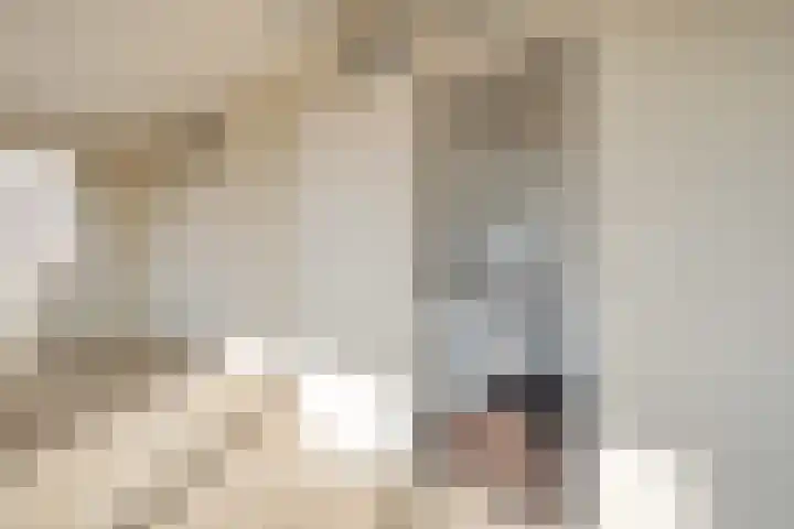 Sweelinckplein 52 's-Hertogenbosch thumbnail 9