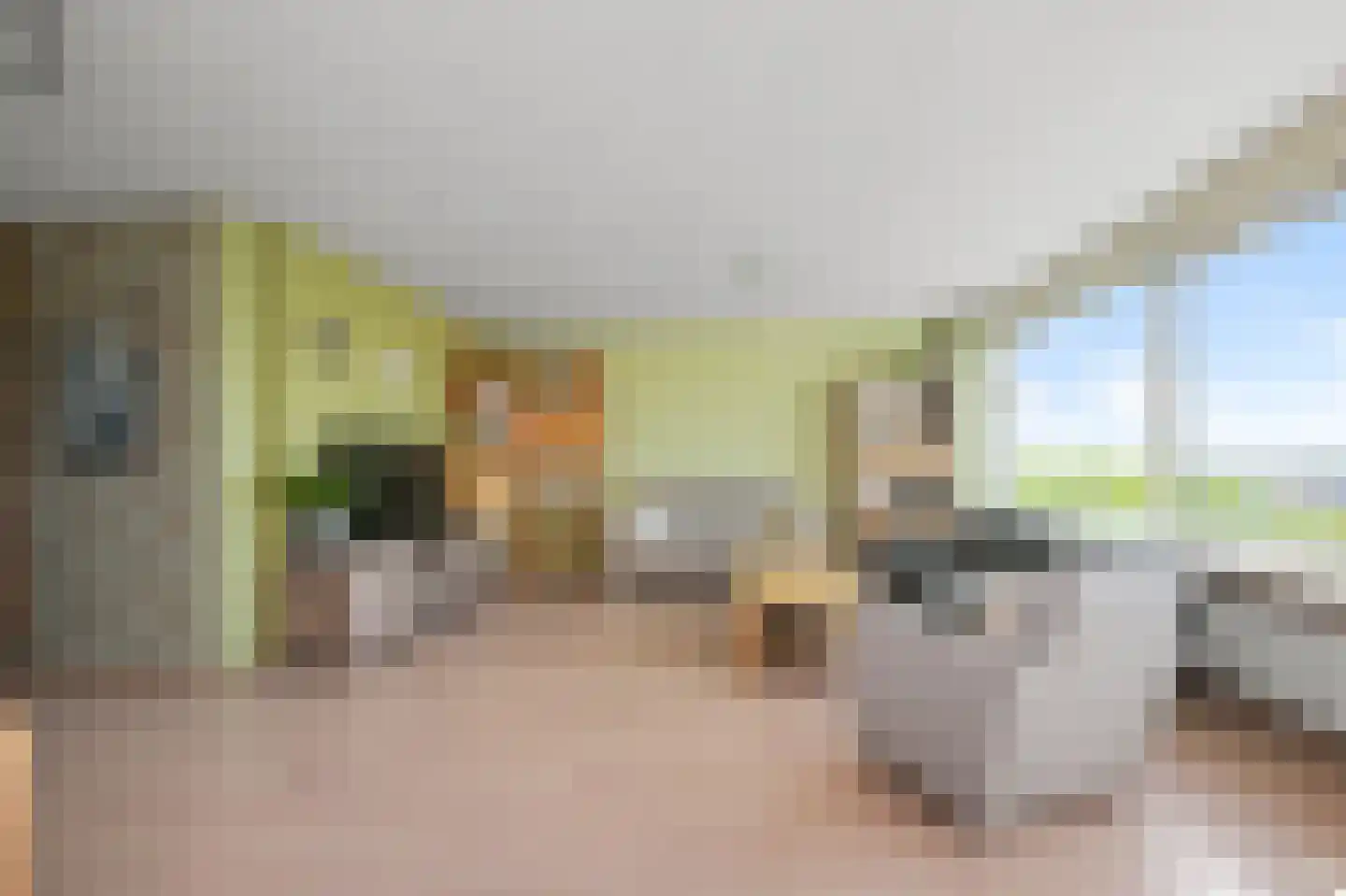 Sweelinckplein 54 Alphen aan den Rijn thumbnail 4