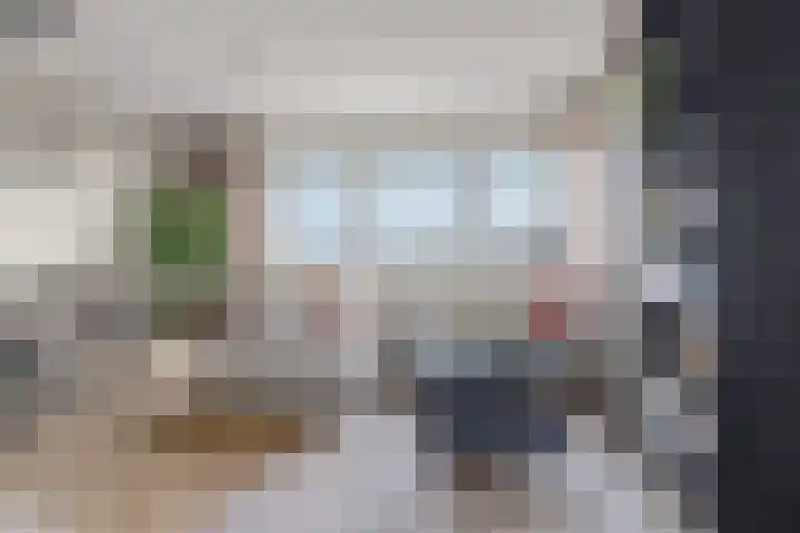 Sweelinckplein 58 's-Hertogenbosch thumbnail 10